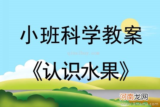 附教学反思 小班语言活动教案：认识水果教案