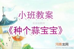 附教学反思 小班科学活动教案：种大蒜教案