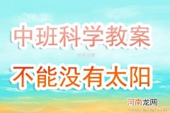 附教学反思 大班科学活动教案：太阳教案