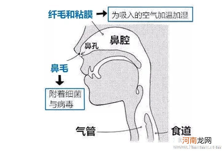 耐冷训练和体育锻炼帮助哮喘宝宝增强体质