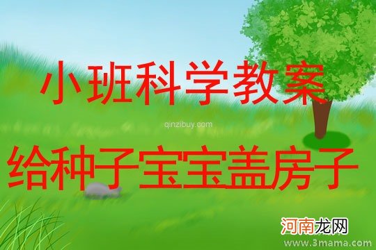 中班科学活动教案：种子藏在哪里教案