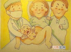 香港幼儿园性教育的漫画