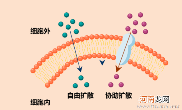 用这样的方式来爱你