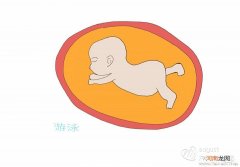 孕29周胎动拱来拱去