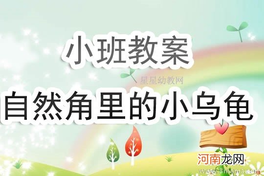 附教学反思 小班科学活动教案：自然角里的小乌龟教案