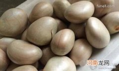 菠萝蜜的核怎么吃？