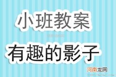 附教学反思 小班主题活动教案：我的影子教案