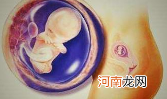 胎儿停育的症状有哪些
