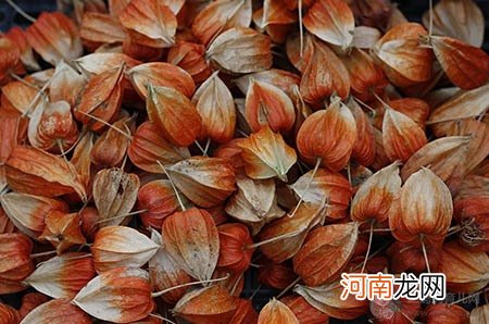 育婴专家经验：宝宝最佳分床睡年龄、分床技巧