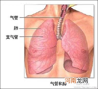 怎么避免支气管哮喘并发症