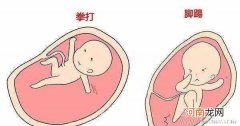 孕6个月晚上胎动频繁