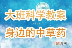 大班科学活动中草药教案反思