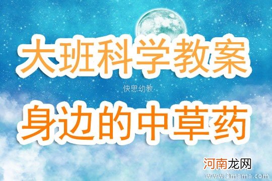 大班科学活动中草药教案反思