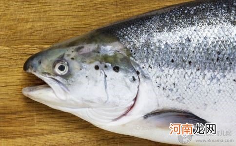 夏季孕妇吃海鲜 安全要点介绍