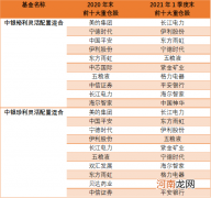 股票仓位下降！率先披露的基金一季报看点多：调仓、换股、机构忙申赎