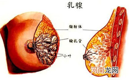 乳腺结节是怎么得的