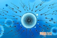 胚胎停育的原因有哪些