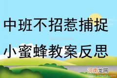 中班音乐小蜜蜂教案反思