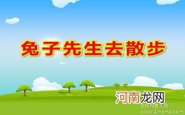 中班社会活动兔子先生去散步教案反思