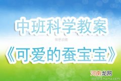 附教学反思 大班主题活动教案：认识蚕宝宝教案