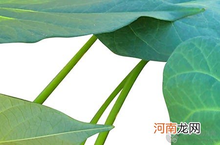 宝宝怎么睡更安全？这四点很重要