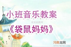 中班音乐活动袋鼠妈妈教案反思