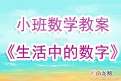 小班数学游戏活动认识前后教案反思