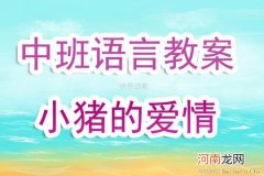 中班表演游戏活动教案：三只小猪教案