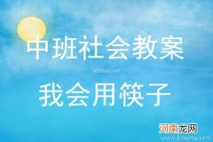 附教学反思 中班健康活动教案：我会用筷子了教案