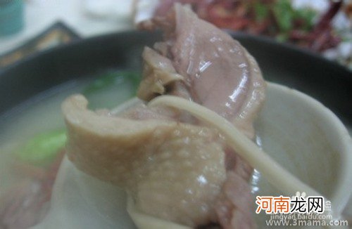 孕妇能吃鸭肉吗？鸭肉选购技巧