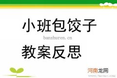 大班社会活动包饺子教案反思