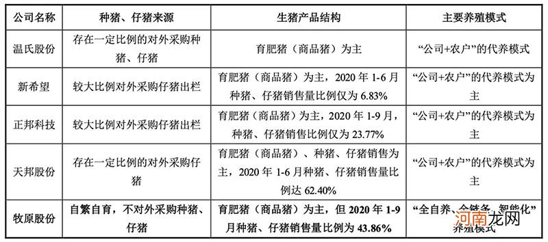 猪价下跌近三成 养猪企业一季度业绩大幅预降！“猪茅” 凭啥一枝独秀？