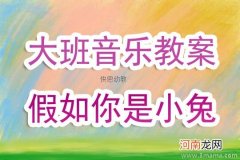 大班游戏活动小兔钻山洞教案反思