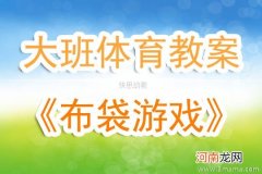 附教学反思 大班健康活动教案：玩布袋教案