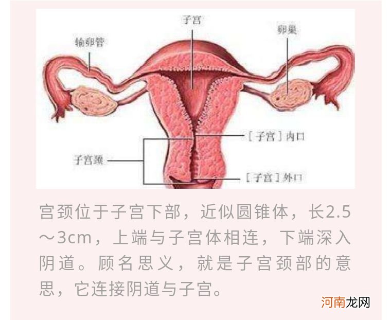 下边松弛有哪些症状