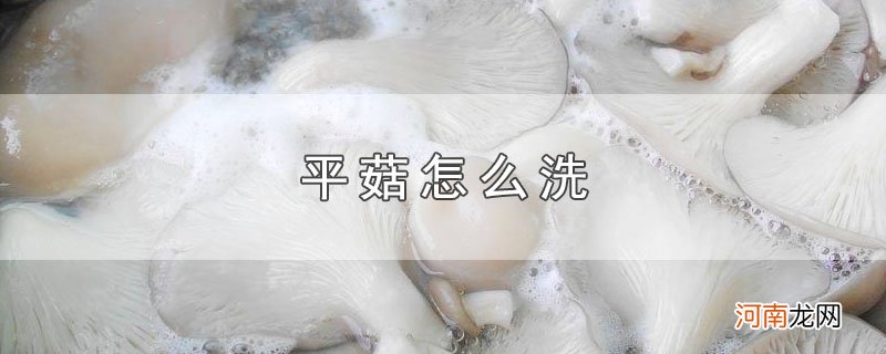 平菇怎么洗