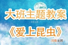 附教学反思 中班主题活动教案：认识昆虫教案