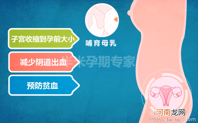 喂母乳可促进产后恢复身材