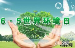 6月5日是什么节日？世界环境日是几月几日