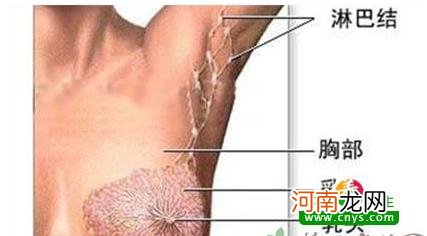 乳腺增生按摩方法步骤