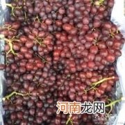 两餐之间吃水果最公道