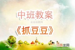 附教学反思 中班数学活动教案：抓豆豆教案