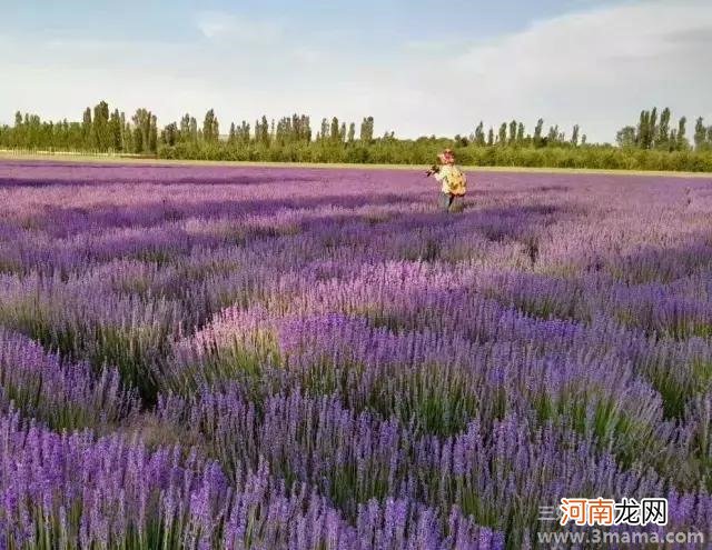 我的心田，我做主