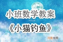 小班数学活动小猫玩球教案反思