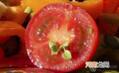 孕期食谱 番茄彩椒鱼泥