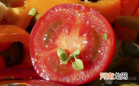 孕期食谱 番茄彩椒鱼泥