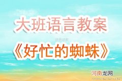 中班语言《小蜘蛛哇哇》教案反思