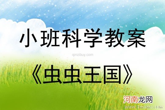 附教学反思 小班科学活动教案：虫虫王国教案