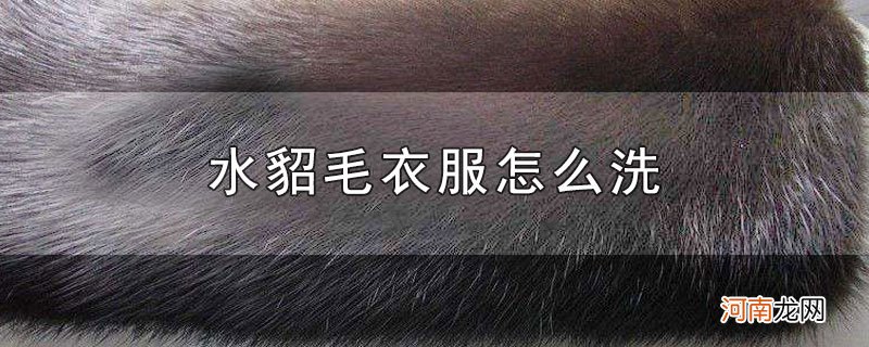 水貂毛衣服怎么洗