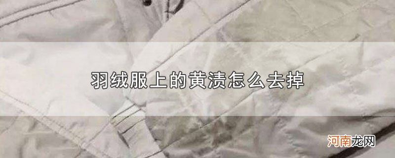 羽绒服上的黄渍怎么去掉